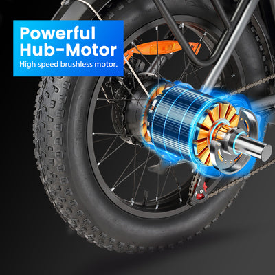 Sinohon B20 Folding E-bike