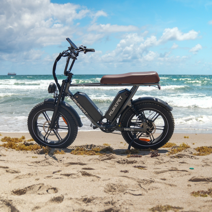 Mukkpet NINJA Moped-Style E-Bike – mukkpet bike